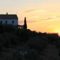 ANDALOUSIE DONA MENCIA MAI 14 007