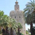 DONA MENCIA 019 SEVILLE la Torre del Oro