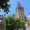 DONA MENCIA 020 SEVILLE la Giralda