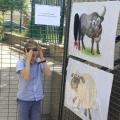 Fête Ecoles 2016_013