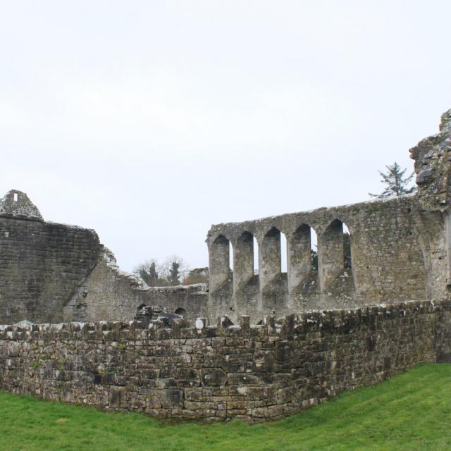 ROSCOMMON 26.03.16 016 Abbaye de Roscommon